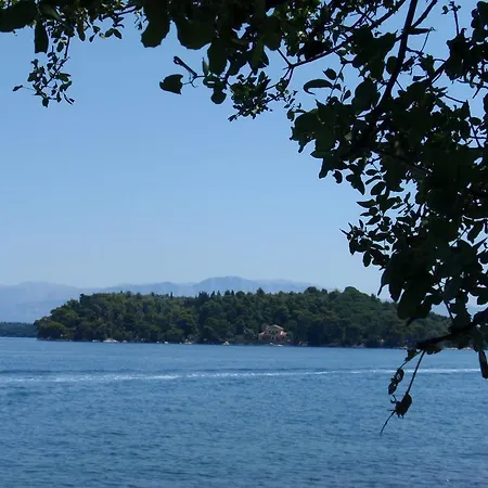 Homer Πανσιόν 4*