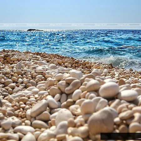 Homer Πανσιόν 4*