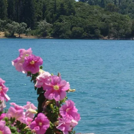 Homer Affittacamere 3*