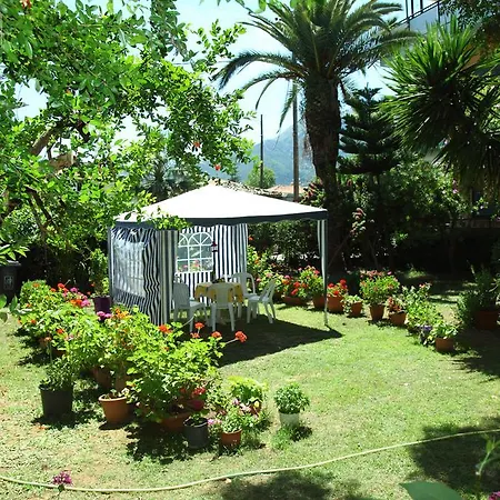 Homer Affittacamere 3*