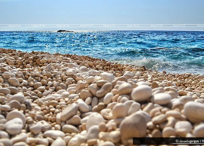 Homer's Gæstehus 4*